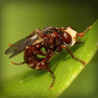 /album/mgjjqi/photolia-a06-jpg/