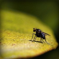 /album/mgjjqi/photolia-a07-jpg/